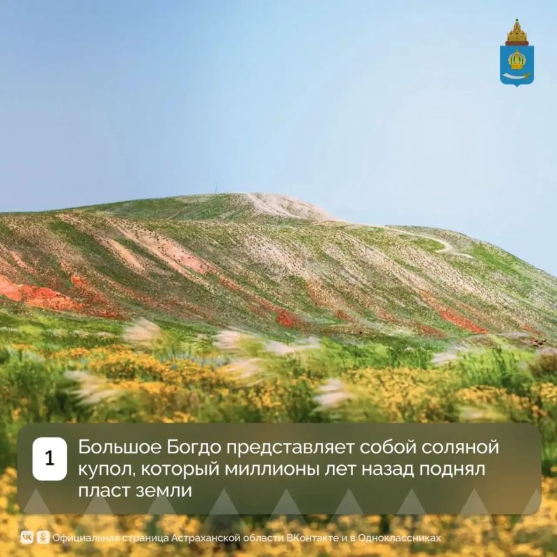 47 ��� ����� ���� ������� ����� � ������������ ������� �������� ������������� ���������� �������