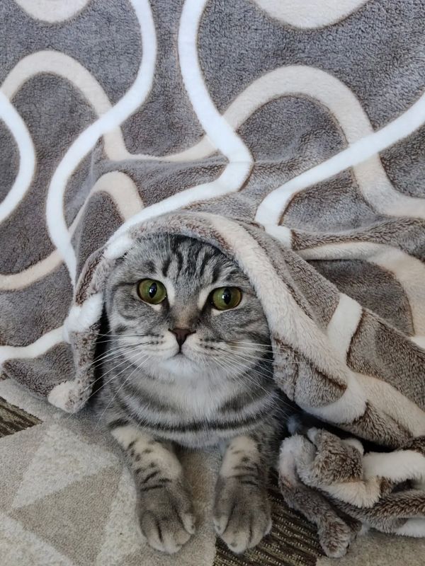 ������ �� �������. �� ������ ������������ ���������� � ������������