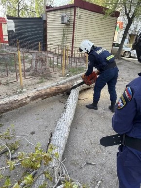 ������������ ��������� ����������� ��������� ������