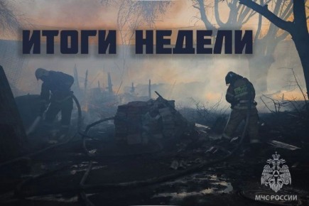 ����� ������ � 14 �� 20 ������ 2026 �