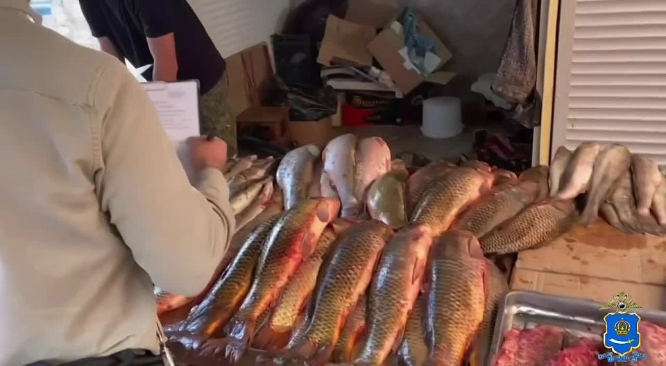 �� �������� �������� ����������� ������� 7 ������ ����������� ������� ������ �����������