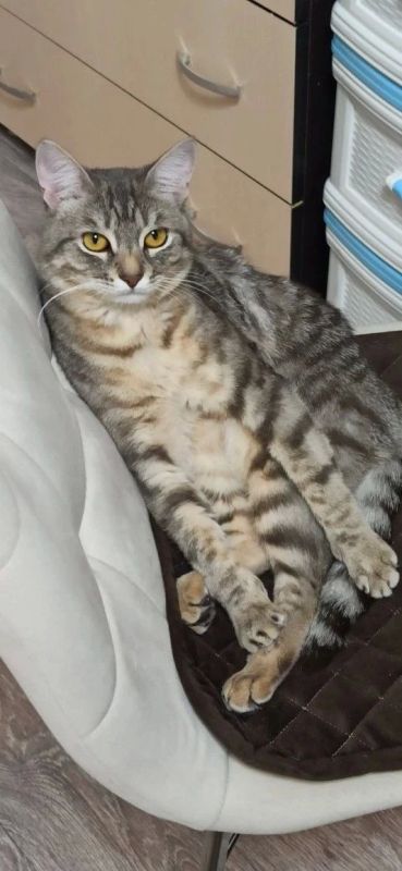 ������ �� �������. 17 ������ � ��������� ������������ ��������� ����������