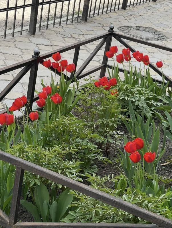 � �������� ����� ����� ����������