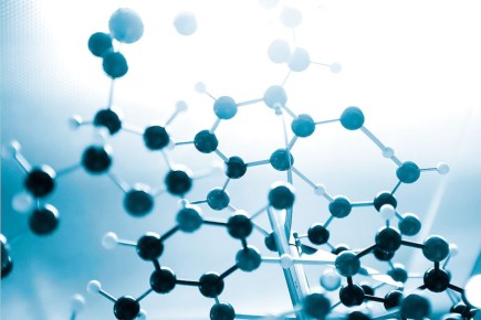 �������������: �������, ���������� � ���� � ����� ����