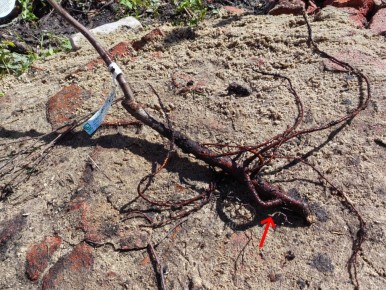 ��� ������� ��������� ������� ������: ������ ���������