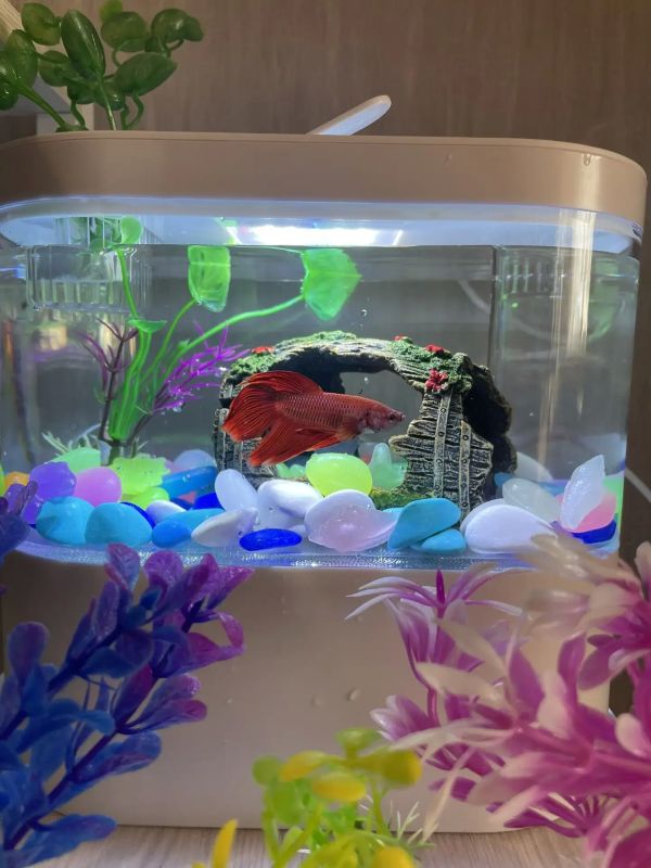 ������ �� �������. 22 ������ � ��������� ������������ ���������� ����������