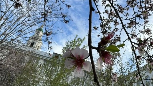 ���������� �������� �������������� �������� ������� ���������