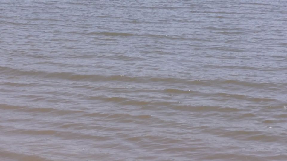 ��� ������������ ������� ����������, ��� ������� ����� �� ����, ����� ��������� ������� ������������