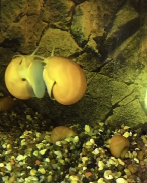 ������ �������� ��� � ����� ��������!