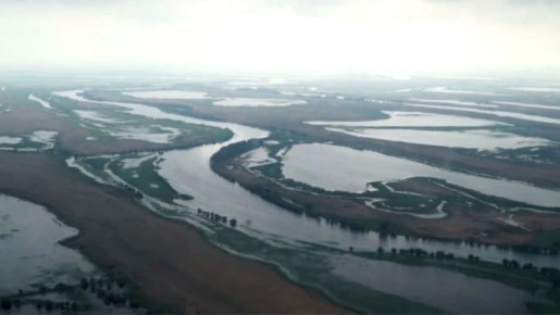 ������� ���������� ������������� ���� ������-�����