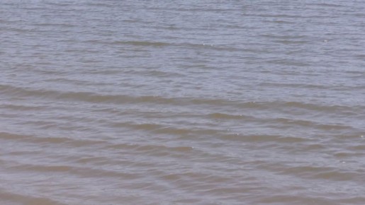 ������������ ��������� ���������� �� �������� �������� ��� �������� ����������