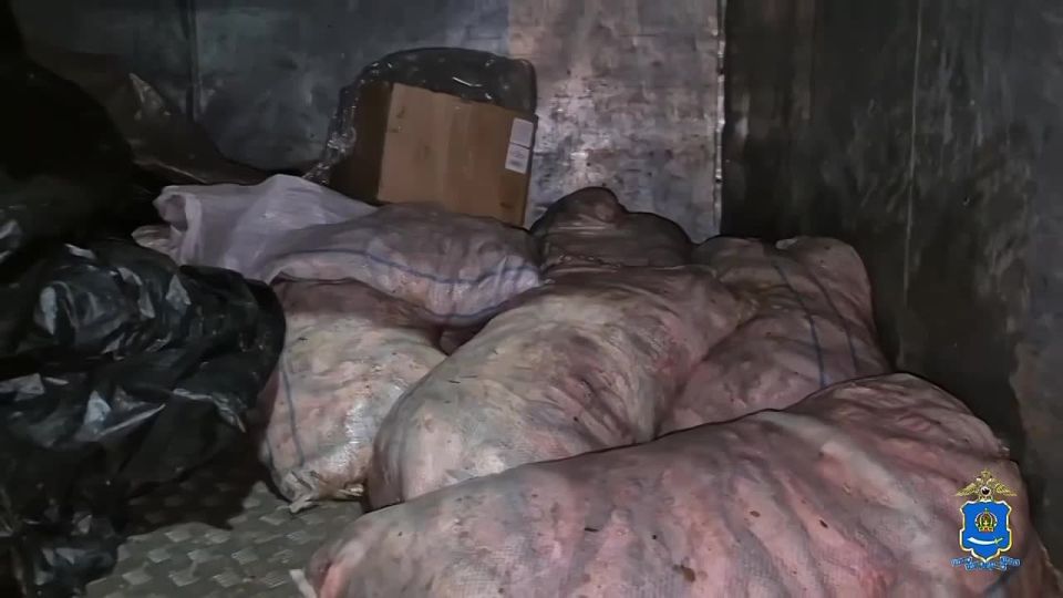 � ��������� �������� ����������� ���������� ������������ ��������, � ������� ��������� ������������ 500 ����������� �����