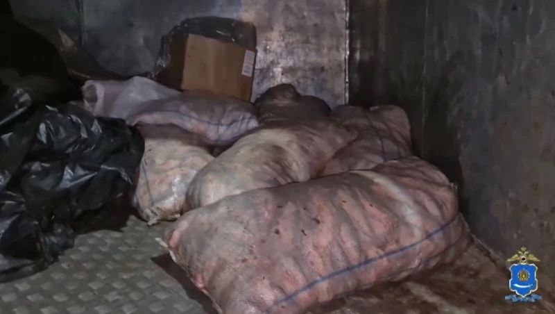 ���������� ������� ��������� �������� �������� �����