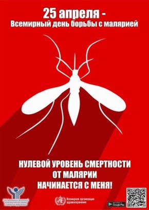 25 ������ � ��������� ���� ������ � ��������