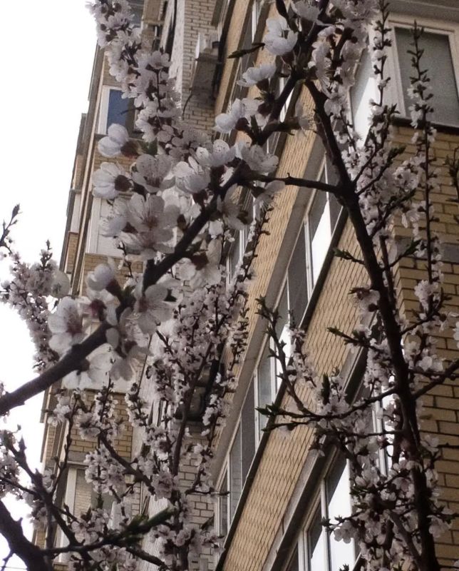 ������ �������� ������! ����� ����������!