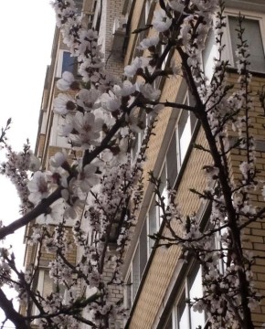 ������ �������� ������! ����� ����������!