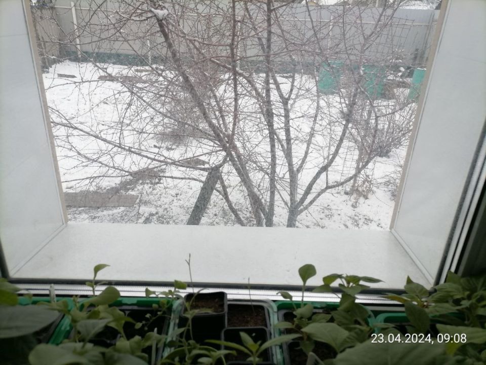 ���������� �����������: ����� ���� ��������� ��������