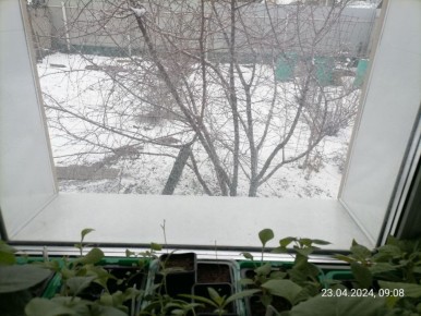 ���������� �����������: ����� ���� ��������� ��������