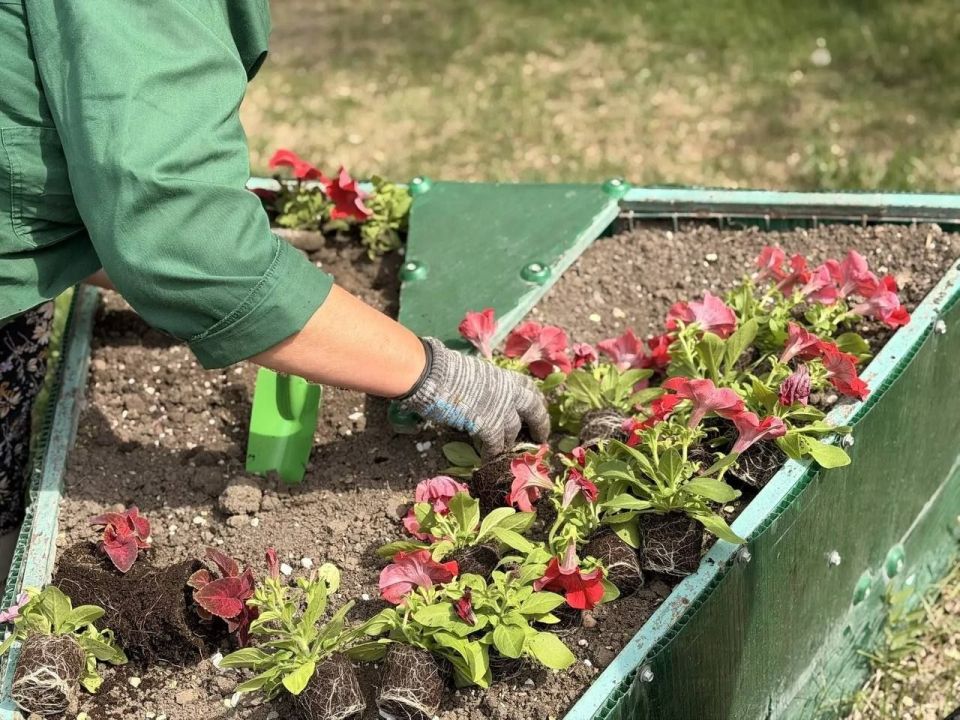 ����� �������: ������� ������ ������ ������ �� ��������� ���� �������� ���������� ����������� �������� �����