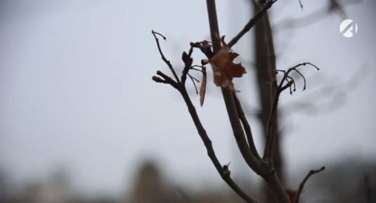 25 ������ � ������� ��������� ��������� �����, ����������� ��������� �� -1�C