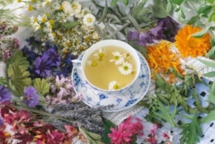 ����� ��� ���������� �����������