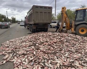 �� ������������ ������ ����������� ������� �����