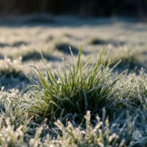 ��������! ��������� � ������������ �������!