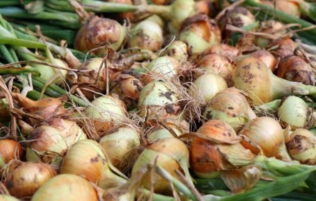 ��� ��������� �������� ��� �� ����� ����� �� ���� �����