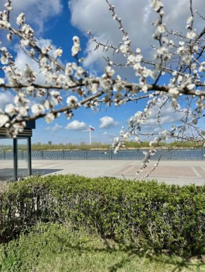 ������������ ����� ����� � ������ ����