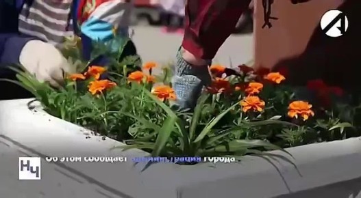 ������������ ������������� ������� ����� � ������� ����������