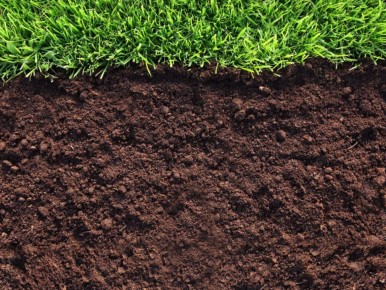 ������ ������� ������������ ������ ��������: ������� ��������� ������