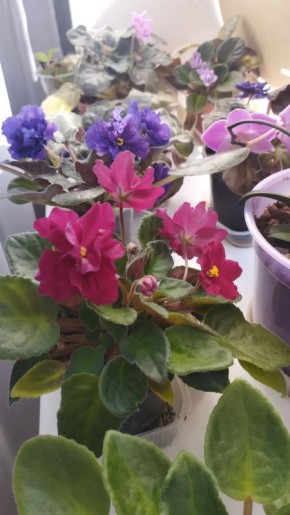 �������� ������� � ���� ������