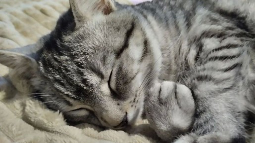 � ����� ���� ����������� ������� �� ���� ������� �����