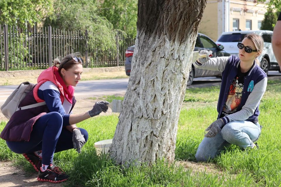 Субботник на площади Победы: вместе делаем город чище и красивее Субботник на площади Победы: вместе делаем город чище и красивее