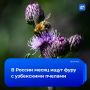 ���� � ������� ������� � �������