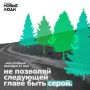 В Астрахани ежегодно исчезает больше деревьев, чем появляется новых