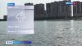 Погода на неделю. Наш сайт | Мы в ВК | Прислать Фото/Видео