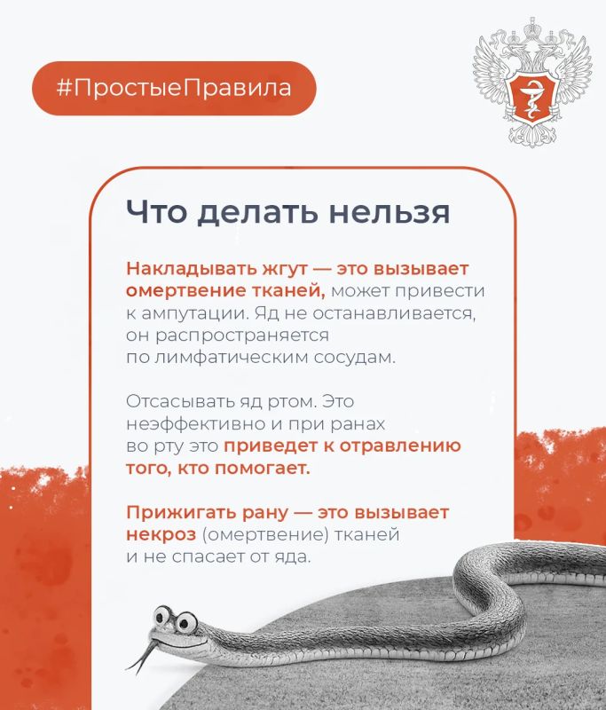#ПростыеПравила: Как обезопасить себя от укуса змеи #ПростыеПравила: Как обезопасить себя от укуса змеи