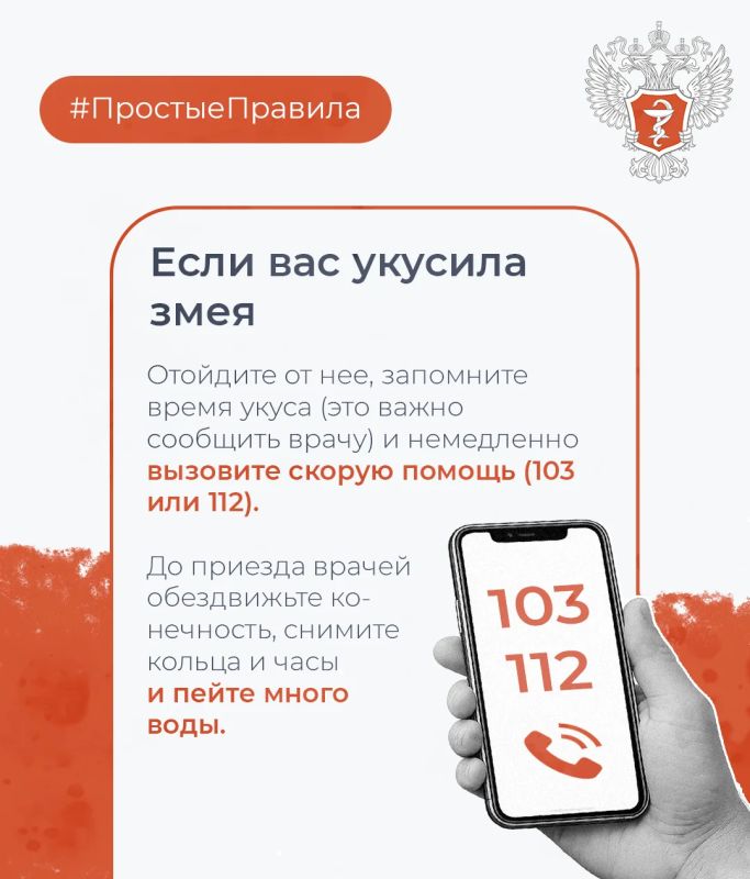 #ПростыеПравила: Как обезопасить себя от укуса змеи #ПростыеПравила: Как обезопасить себя от укуса змеи