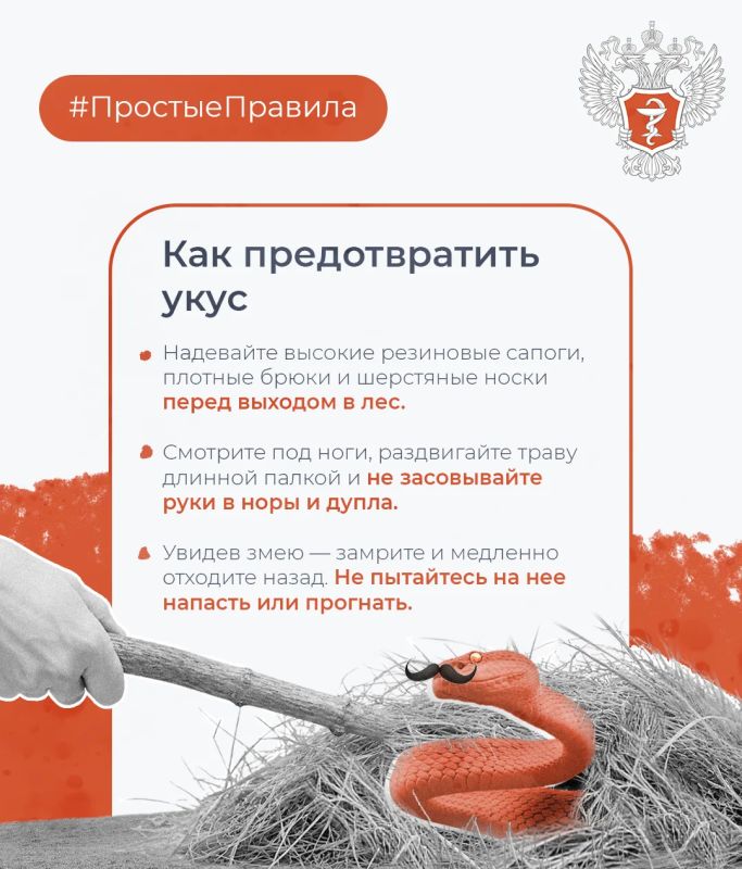 #ПростыеПравила: Как обезопасить себя от укуса змеи #ПростыеПравила: Как обезопасить себя от укуса змеи