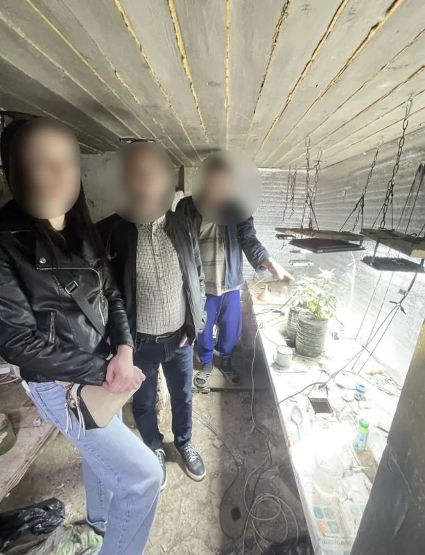 В Черноярском округе сотрудниками полиции пресечена незаконная деятельность жителя региона, причастного к хранению наркотических средств