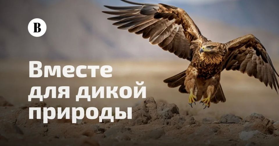 Стартует проект «Вместе для дикой природы»