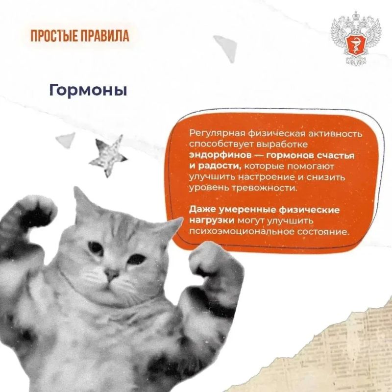 На неделе информирования о важности физической активности #ПростыеПравила: Как физические нагрузки влияют на ментальное здоровье На неделе информирования о важности физической активности #ПростыеПравила: Как физические нагрузки влияют на ментальное здоровье