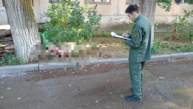 Директора астраханской УК посадят за смерть женщины