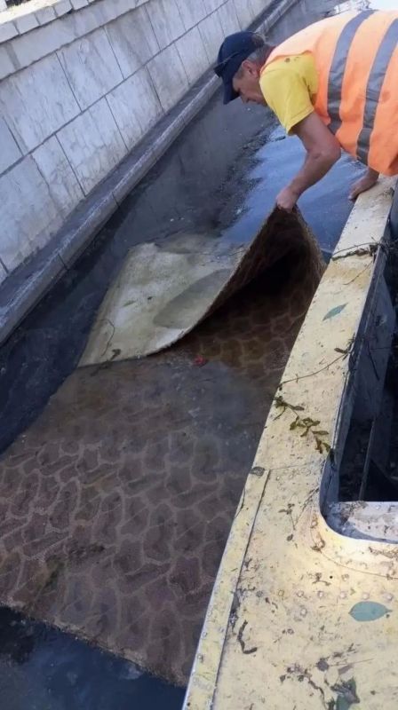 ФОТО ДНЯ: 20 кубов мусора выловили коммунальщики из астраханских водоемов за первую половину июня ФОТО ДНЯ: 20 кубов мусора выловили коммунальщики из астраханских водоемов за первую половину июня