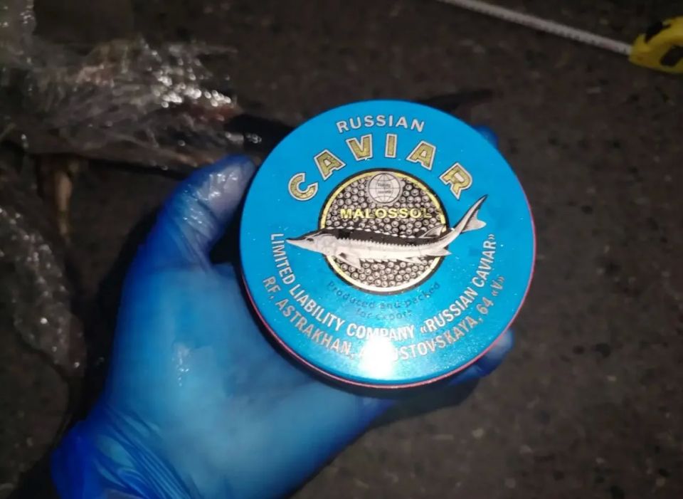 «Улов на обочине»: дорожные полицейские изъяли у астраханца рыбные деликатесы «Улов на обочине»: дорожные полицейские изъяли у астраханца рыбные деликатесы