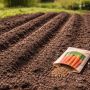 ������ ������ ����� ������� ����� ���������� ��������������