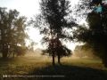 Сегодня в рубрике «Фото от подписчика» – снимок Зинаиды Кирпичниковой