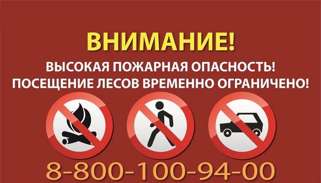В Астраханской области с 22 июня введено ограничение пребывания граждан в лесах и въезда в них транспортных средств