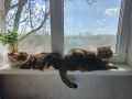 ������ �� �������. 26 ���� ������������ ���������� ���������� � ���������